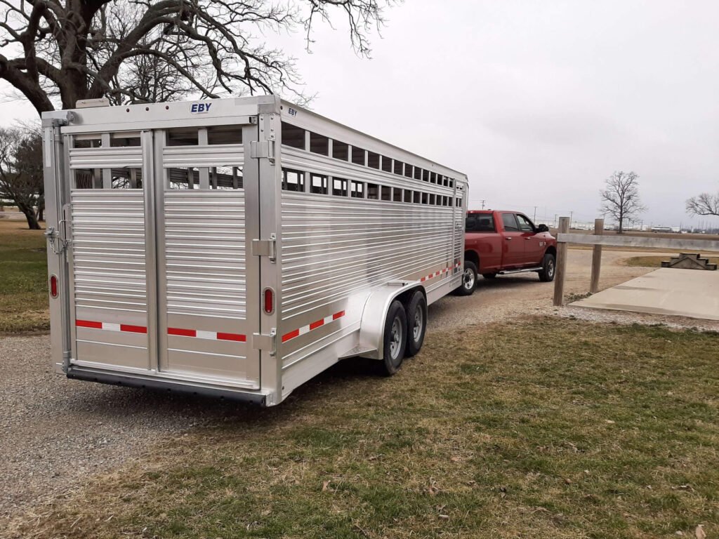 Miniature Highland cattle transport, Livestock transport services