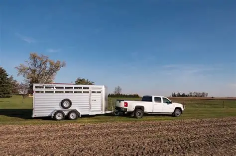 Miniature Highland cattle transport, Livestock transport services