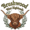 Brushwood Mini Highlands